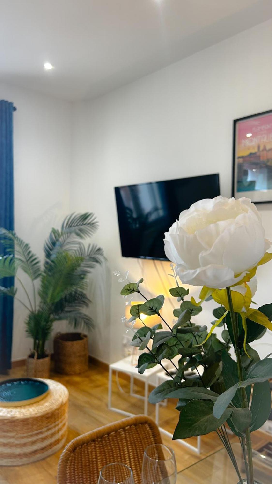 Voyage Au Canal - Parking Clim Netflix Amazon Montauban Exteriör bild